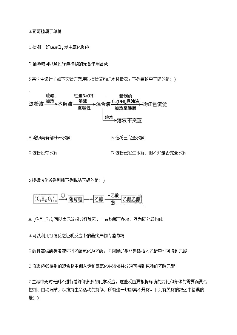 高二化学人教版（2019）选择性必修3 期末复习单元知识检测第四章 生物大分子02