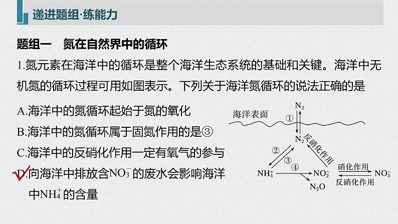 2022高考化学一轮复习 第四章 第24讲　氮及其化合物的转化课件08