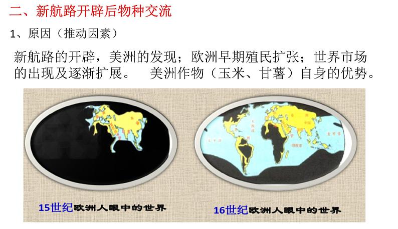 第2课 新航路开辟后的食物物种交流【PPT课件】第3页