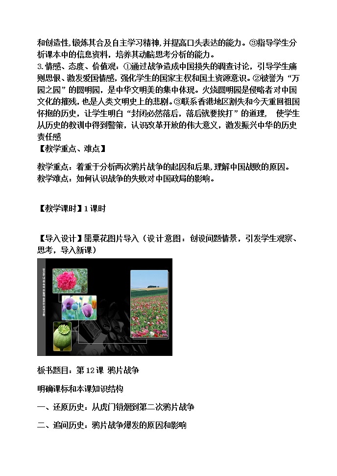 岳麓版高中历史必修一第12课 鸦片战争(10)教案02