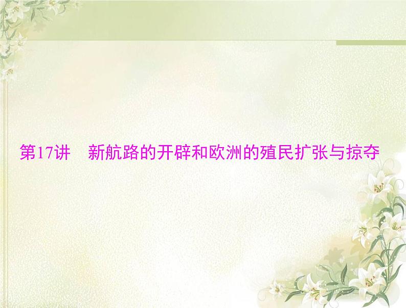 高考历史总复习必修Ⅱ经济成长历程第九单元工业文明的崛起和对中国的冲击第17讲新航路的开辟和欧洲的殖民扩张与掠夺课件05