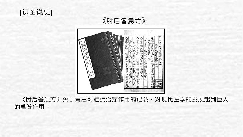 高考历史一轮复习第三十一单元医疗与公共卫生课件新人教版08