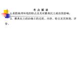 人教版高中历史必修一第五课古代希腊民主政治课件
