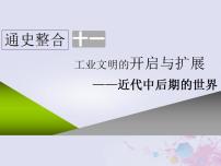 高考历史一轮复习第三板块世界史通史整合十一工业文明的开启与扩展_近代中后期的世界课件