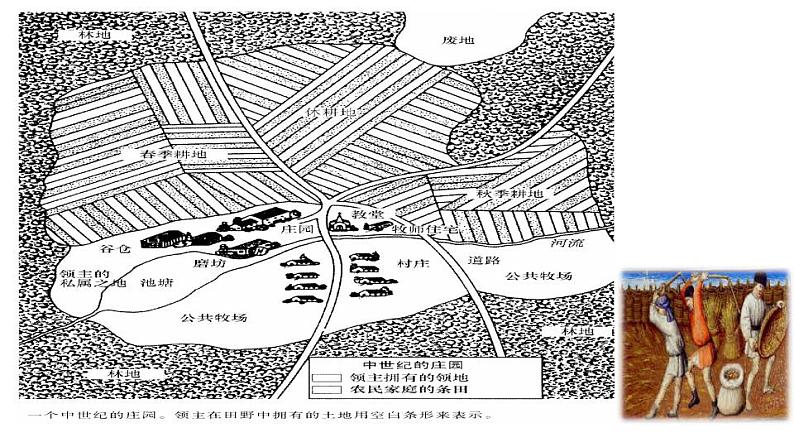 统编版历史中外历史纲要下课件：第3课 中古时期的欧洲（21张）07
