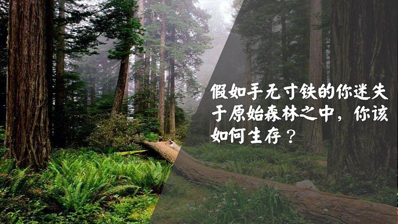 2021-2022学年统编版高中历史选择性必修二  经济与社会生活  第1课 从食物采集到食物生产  课件02