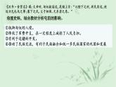 第11课 中国古代的民族关系与对外交往 课件-高中历史（统编版）选择性必修一