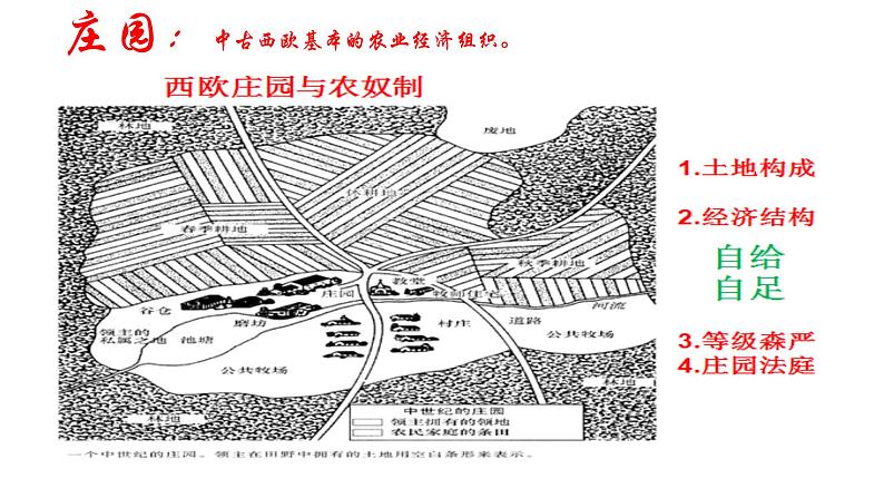 高中历史必修中外历史纲要下 第3课 中古时期的欧洲 课件（11张ppt）第5页