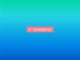人教统编版（2019）必修中外历史纲要下第六单元第12课：资本主义世界殖民体系的形成（共31张PPT）课件PPT