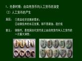 统编版选择性必修1第15课货币的使用与世界货币体系的形成 课件(共30张PPT)
