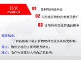 历史统编版历史选择性必修2第2课新航路开辟后的食物物种交流（共20张ppt）
