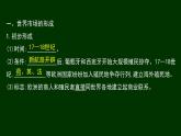 第8课 世界市场与商业贸易【课件】（36张PPT）--人教统编版高中历史选择性必修二经济与社会生活