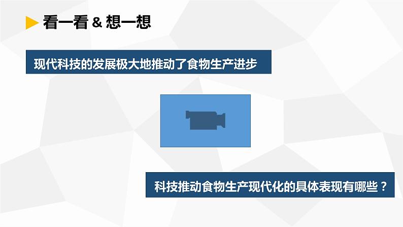 讲课-高中历史选修2经济与社会生活第3课现代食物的生产、储备与食品安全课件PPT03