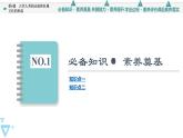 人教统编版高中历史选择性必修三第3单元 第6课　古代人类的迁徙和区域文化的形成课件