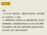 第7课 近代殖民活动和人口的跨地域转移 课件-【新教材】统编版高中历史选择性必修3