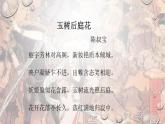 高一统编历史新教材必修中外历史纲要（上） .第6课 从隋唐盛世到五代十国 18ppt