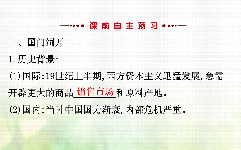 人民版必修一专题二近代中国维护国家主权的斗争2.1列强入侵与民族危机课件第3页