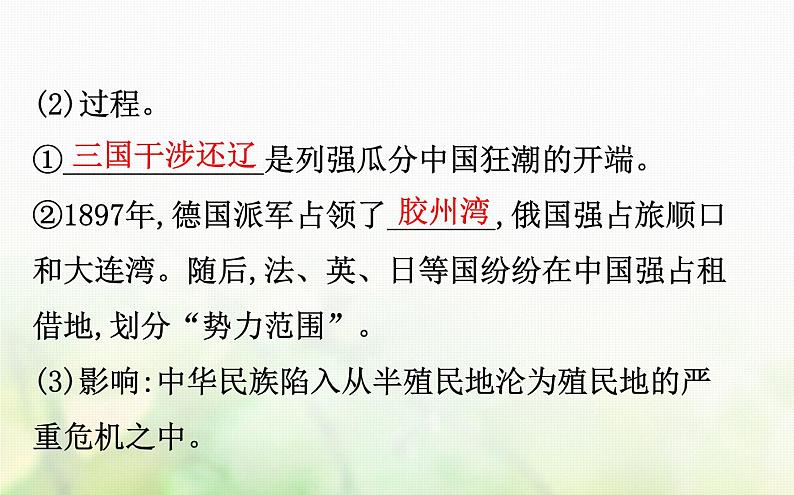 人民版必修一专题二近代中国维护国家主权的斗争2.1列强入侵与民族危机课件第8页