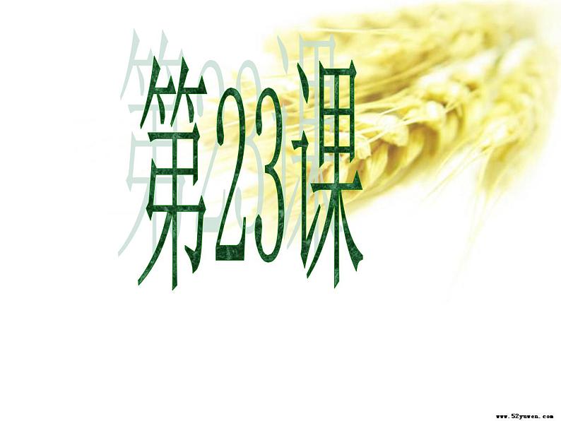 人教版 必修3第八单元 第23课 美术的辉煌课件PPT03