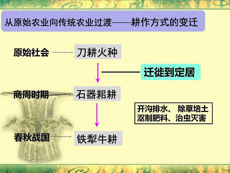 高中历史人教版必修二第1课发达的古代农业课件（共63张PPT）第8页