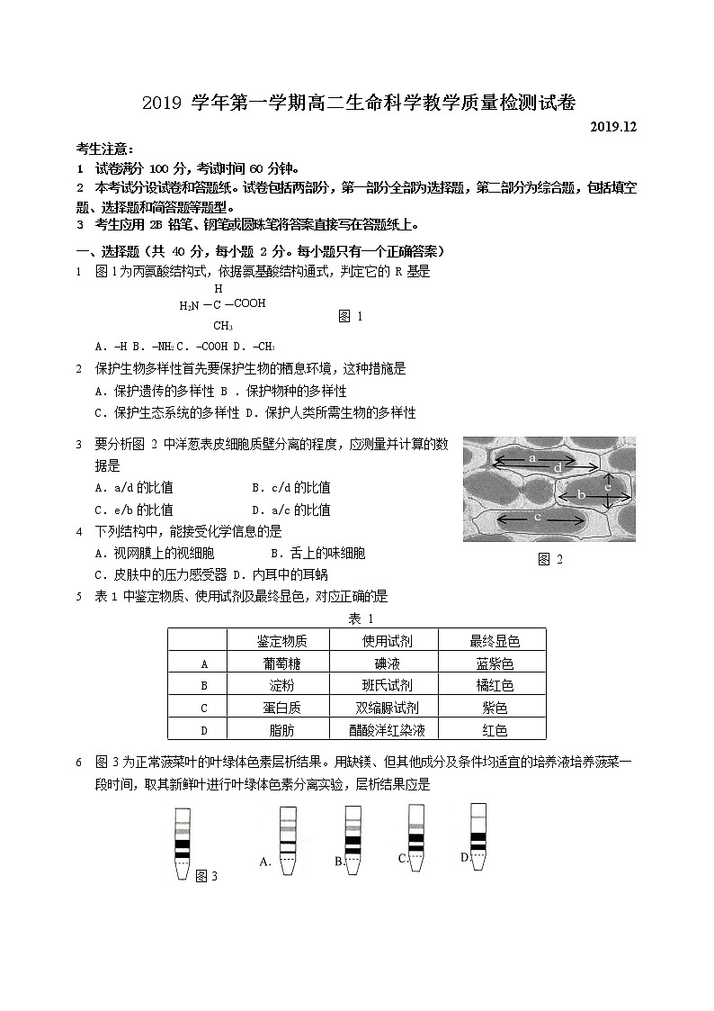 2020年上海市长宁高三一模生物试卷及答案01
