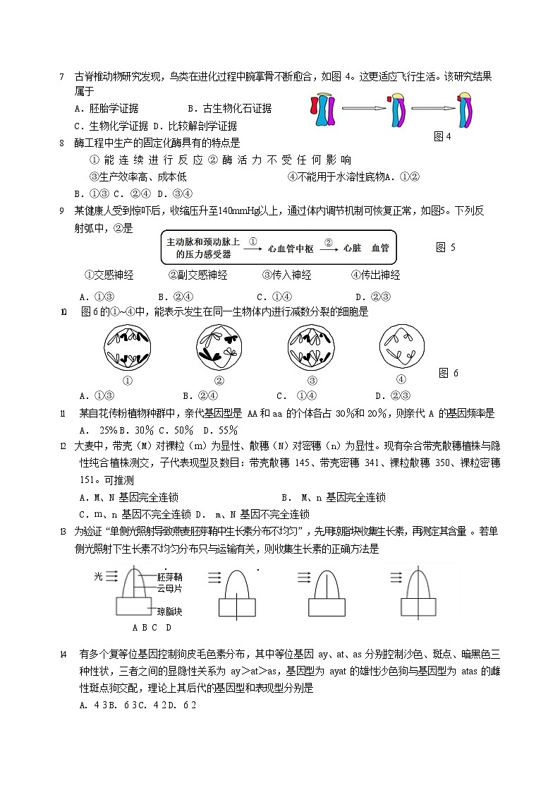 2020年上海市长宁高三一模生物试卷及答案02