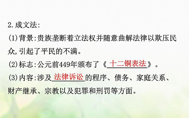 各版本通用高中历史必修一专题六古代希腊罗马的政治文明6.3罗马人的法律课件第4页