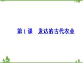 人民版历史必修2专题一 1.1古代中国的农业经济 课件PPT