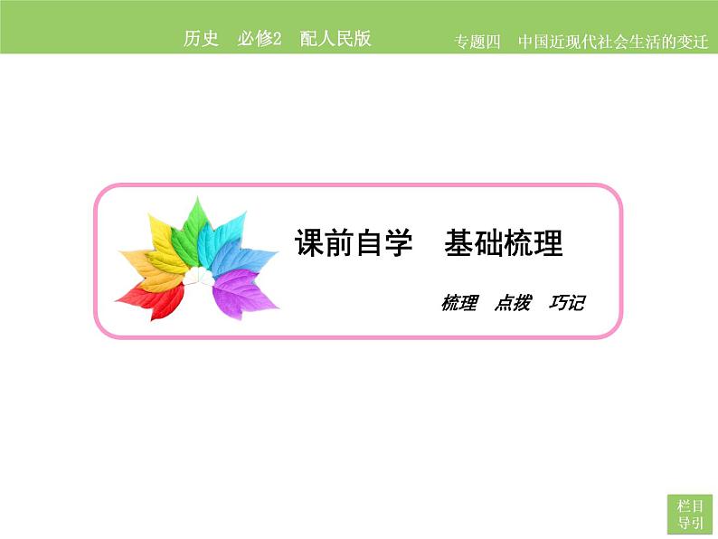 人民版历史必修2专题四4.1物质生活和社会习俗的变迁 课件PPT06