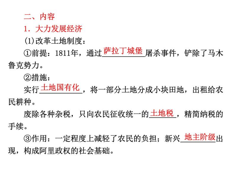 人民版高中历史选修一6.2中兴埃及的改革 课件PPT04