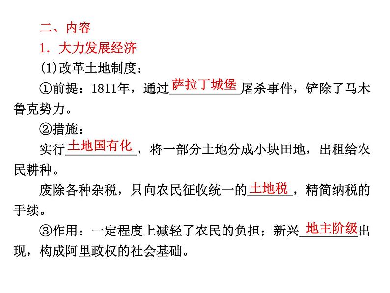 人民版高中历史选修一6.2中兴埃及的改革 课件PPT04