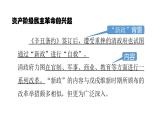 2021-2022中外历史纲要上第19课辛亥革命课件PPT