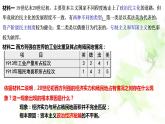 2021-2022学年统编版（2019）高中历史必修中外历史纲要下 第14课 第一次世界大战与战后国际秩序课件（24张ppt）