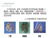 2021-2022学年统编版（2019）高中历史必修中外历史纲要下 第6课 全球航路的开辟 课件（25张ppt）