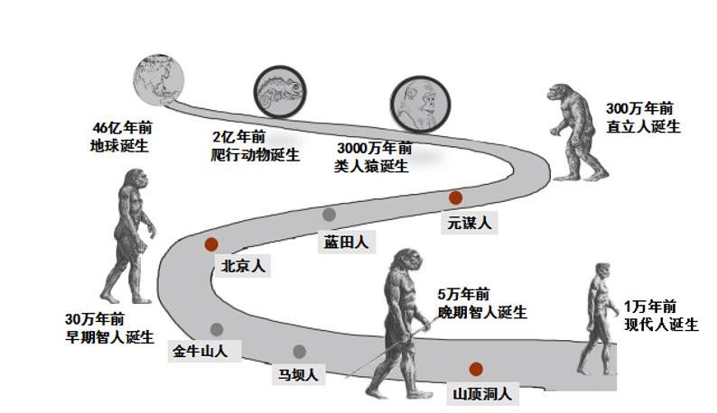 2021-2022学年统编版（2019）高中历史必修中外历史纲要上册第1课 中华文明的起源与早期国家 课件第3页