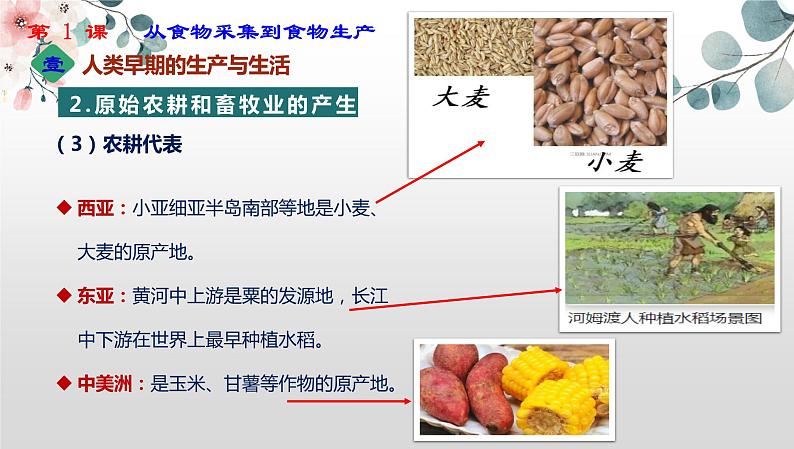 2021-2022学年统编版（2019）高中历史选择性必修二经济与社会生活第1课从食物采集到食物生产课件（33张PPT）第7页