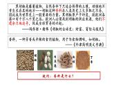第6课 全球航路的开辟 课件统编版高中历史必修中外历史纲要下 (9)