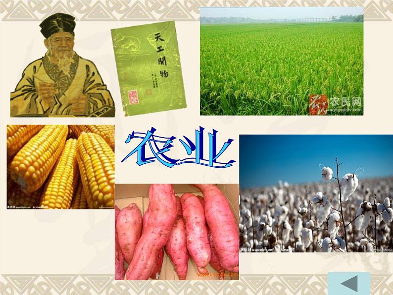 第6课 近代前夜的发展与迟滞-高一历史同步精讲课件（岳麓版必修2）第5页