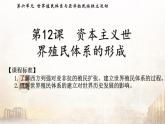 第12课 资本主义世界殖民体系的形成 统编版高中历史必修中外历史纲要下册 (7)课件PPT