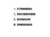 资本主义世界殖民体系的形成PPT课件免费下载