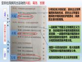 第16课 亚非拉民族民主运动的高涨 课件统编版高中历史必修中外历史纲要下册 (8)