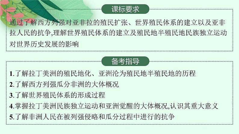 人教版新高考历史一轮复习课件--世界殖民体系与亚非拉民族独立运动02