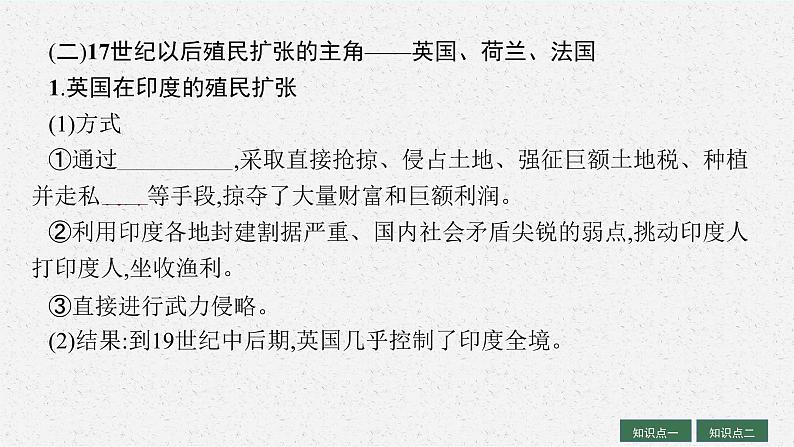 人教版新高考历史一轮复习课件--世界殖民体系与亚非拉民族独立运动08