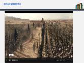 第11课  古代战争与地域文化的演变 课件 高中历史人教部编版 选择性必修3（2022年）