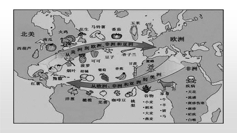 2022人教部编版2019中外历史纲要下第7课全球联系的初步建立与世界格局的演变44张PPT第8页