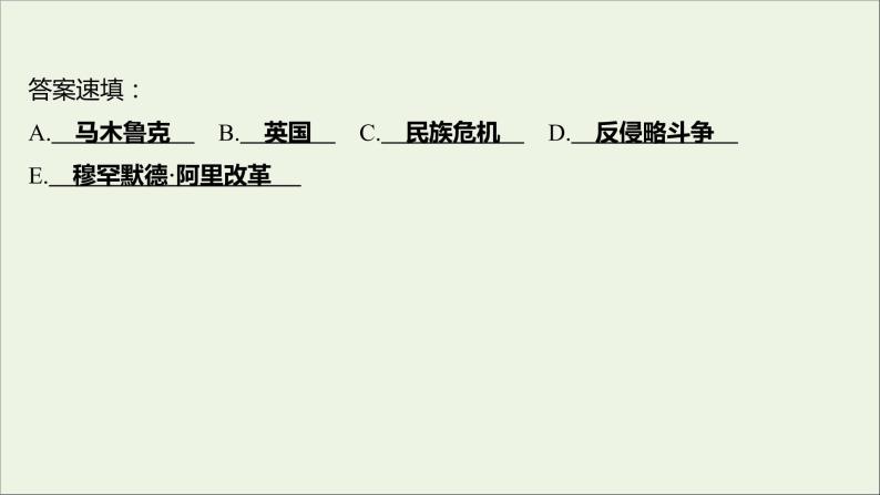 2021_2022高中历史专题六穆罕默德阿里改革专题提升课课件人民版选修103