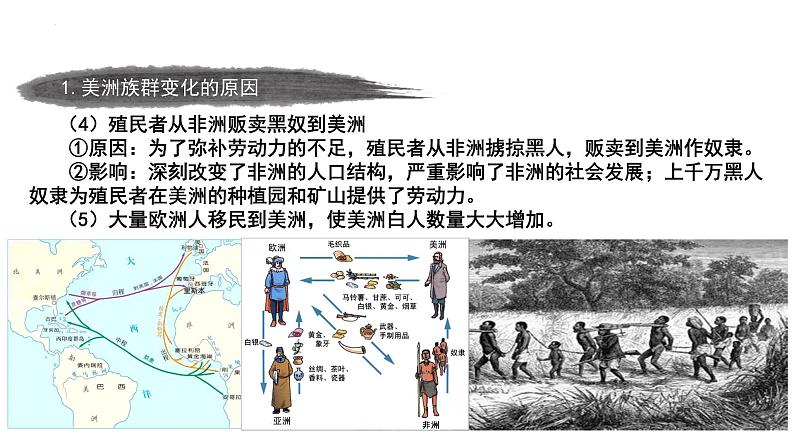 第7课 近代殖民活动和人口的跨地域转移 统编版选择性必修3 (6)课件PPT06