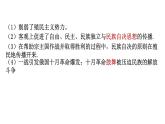 第13课 现代战争与不同文化的碰撞和交流统编版高中历史选择性必修3 (4)课件PPT