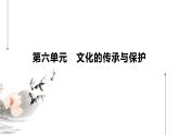 第14课 文化传承的多种载体及其发展统编版高中历史选择性必修3 (1)课件PPT