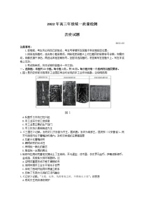 2022青岛高三下学期一模考试历史试题含答案